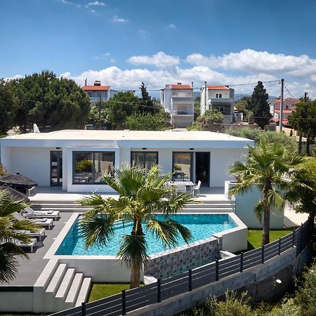 Kyamon Estate Luxury Villa Hriszí Aktí Haniá Kültér fotó